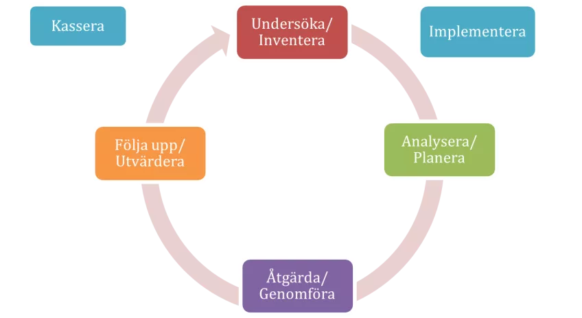 Beskrivning av det systematiska arbetet i fyra steg; undersöka och inventera, analysera och planera, åtgärda och genomföra samt följa upp och utvärdera.. Illustration.