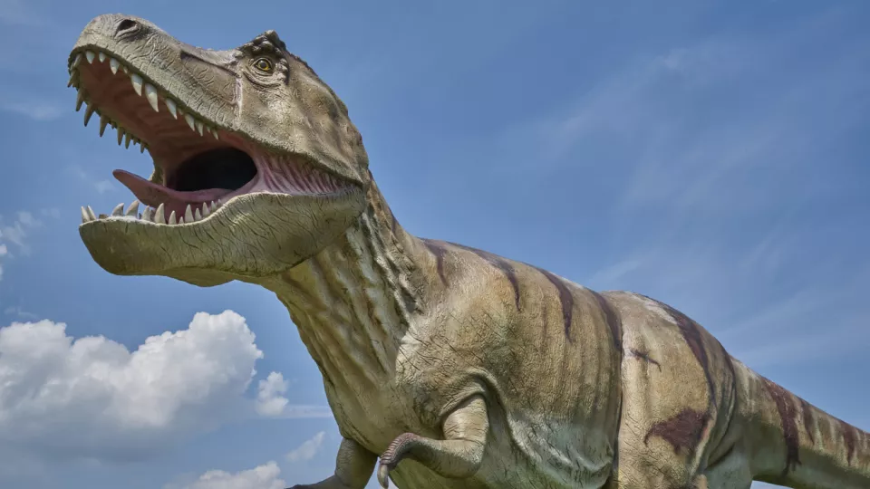 Dinosaurie. Illustration.