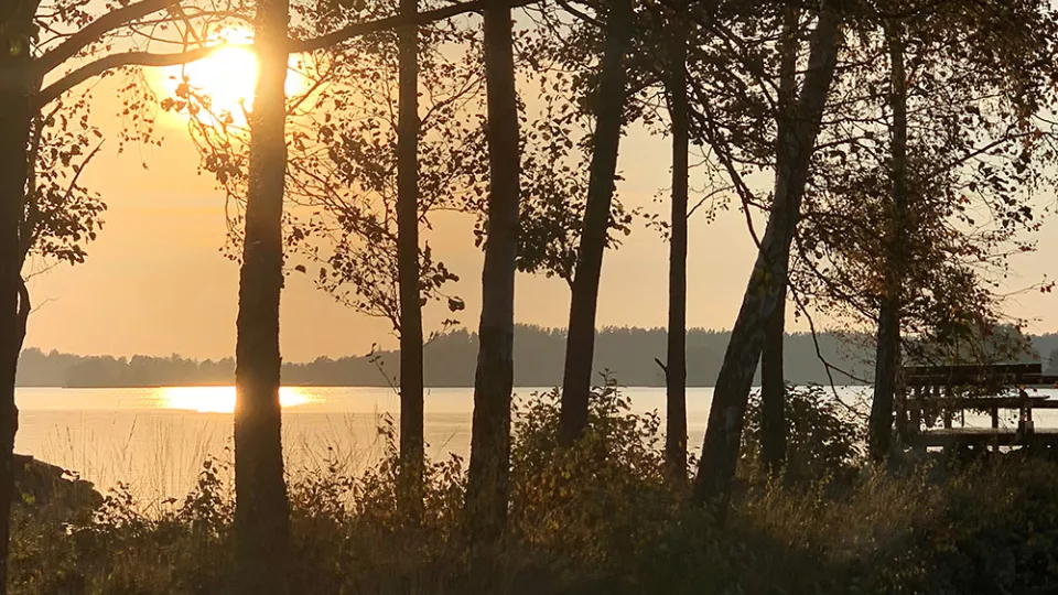 Sjö och skog i solnedgång. Foto.