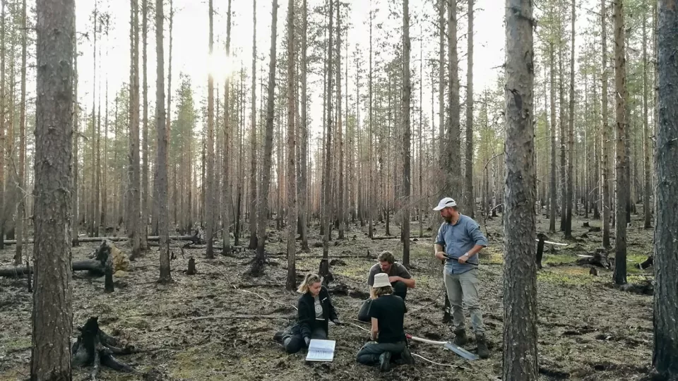 Forskare i skog. Foto.