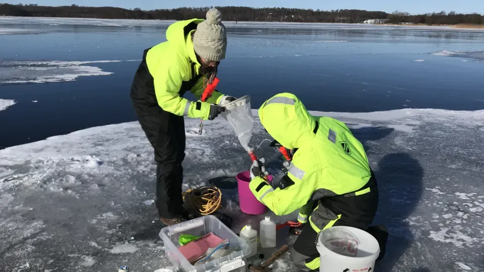 Foto på forskare i fält
