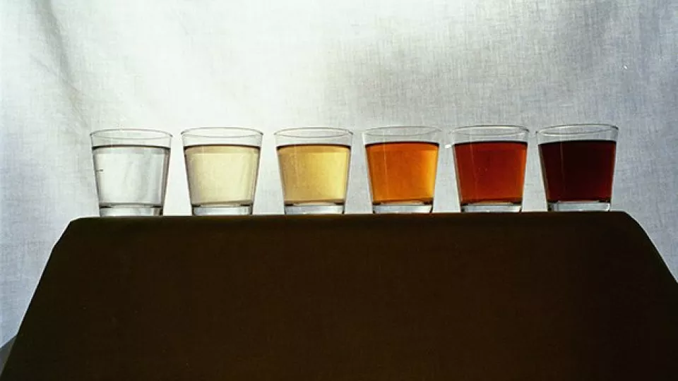 Glas med vattenprover i olika färger. Foto.