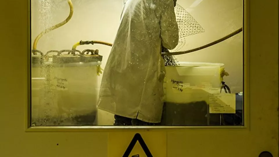 En man med skyddsutrustning står vid tunnor i laboratorium. Foto.