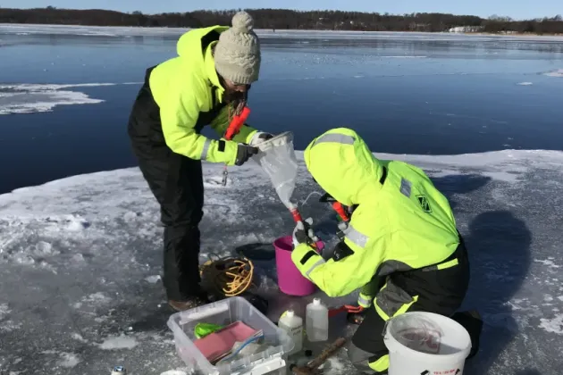 Foto på forskare i fält