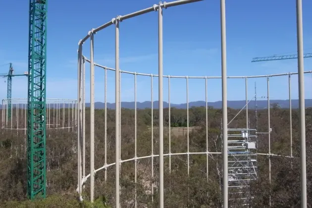 Stålställning i skog. Foto.
