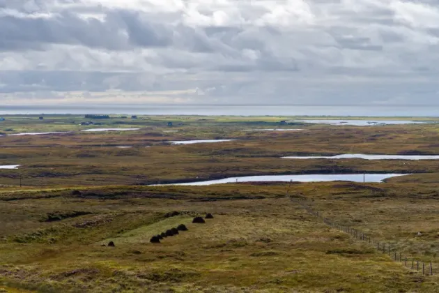 Landskap. Foto.