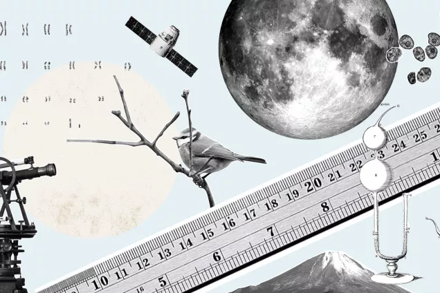 Måne, teleskop, linjal med mera. Illustration.