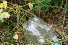 Plastflaska i natur. Foto.