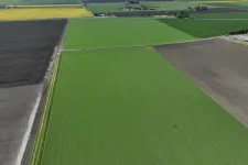 Flygfoto över odlade fält.