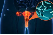 Illustration av vagina.