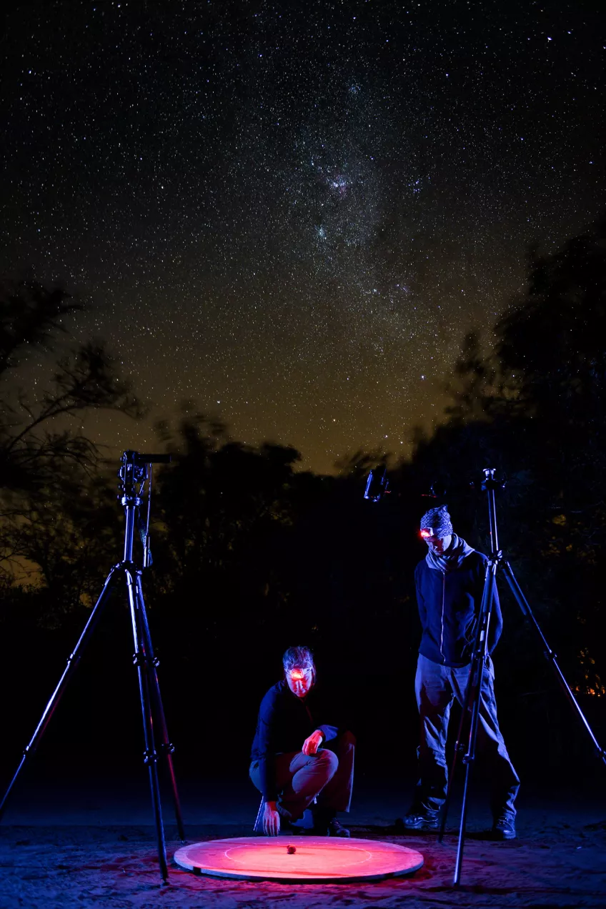 Två personer tittar på en skalbagge som befinner sig på en rund plattform. Det är natt och stjärnklart. Foto.