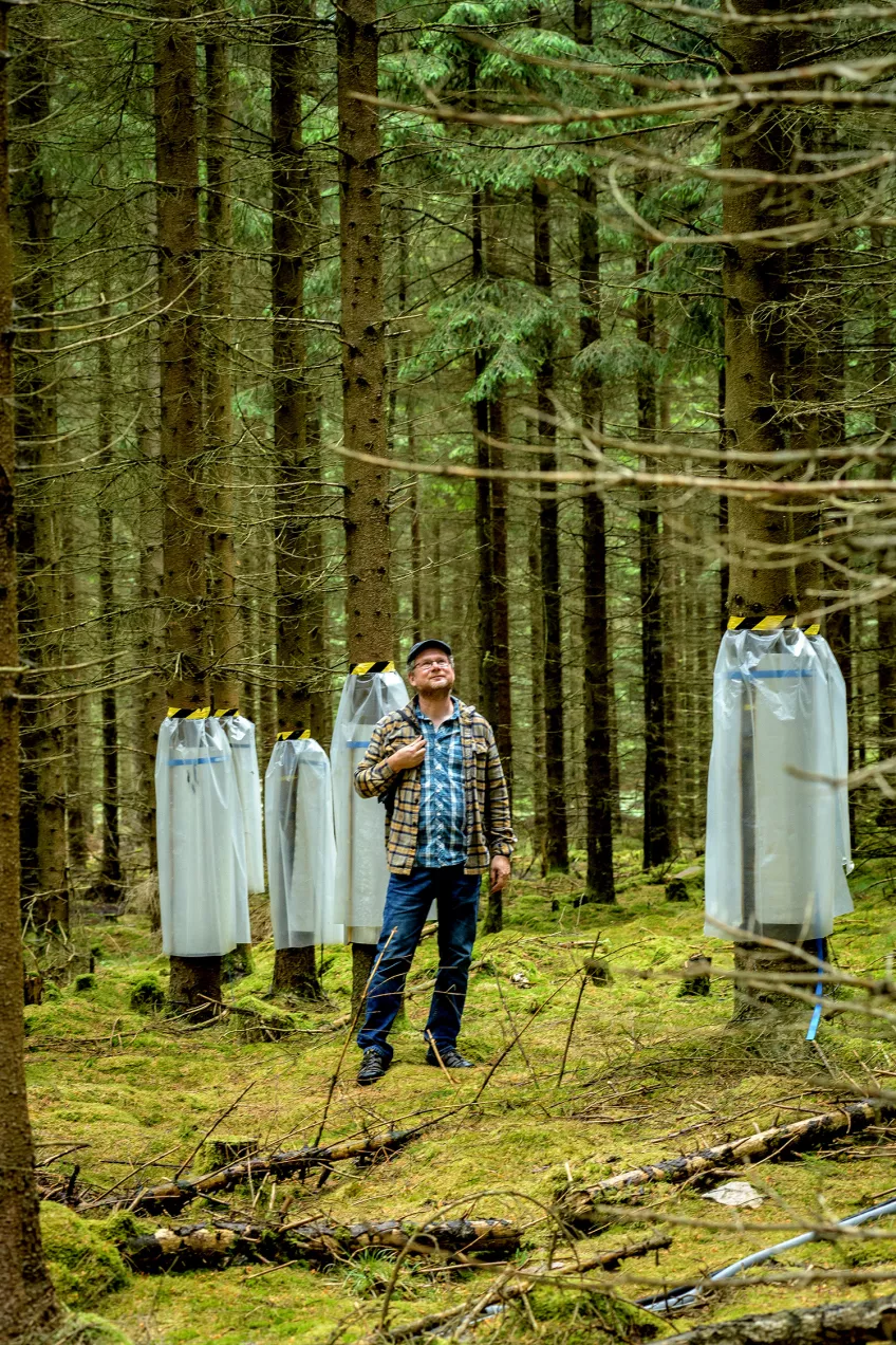 En man står i en skog. Foto.